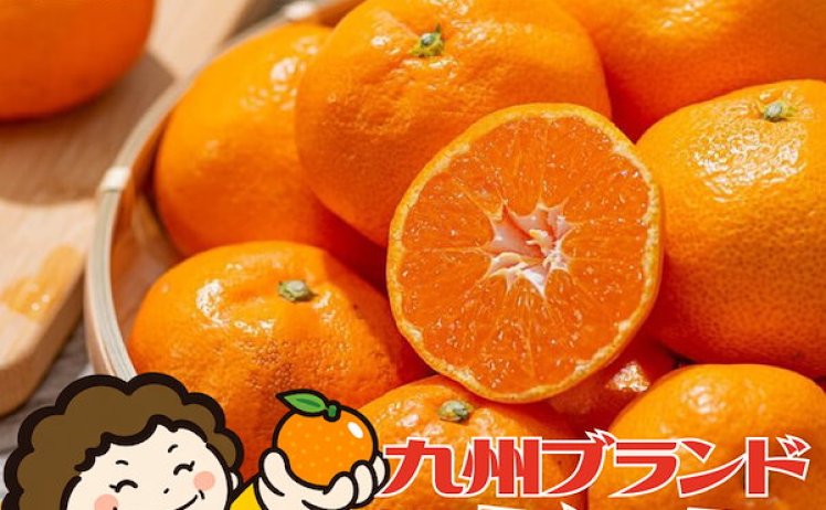 【1,699円】九州ブランドみかん 総重量10kg 小玉多め
