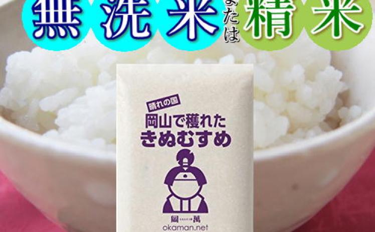 【5,180円】令和7年産 きぬむすめ 岡山県産 無洗米 10kg(5kg×2袋)
