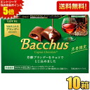 訳あり ロッテ Bacchus 10粒 10箱入