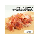 生ハム 切り落とし ハモン・セラーノ 9ヶ月 1kg