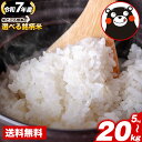 【50%OFF】令和7年産 熊本県産 ヒノヒカリorくまさんの輝き 白米 10kgなど