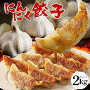 【49%OFF】にんにく激まし餃子 2パック×50個