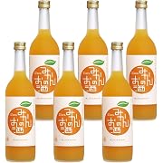 【20%OFF】中埜酒造 國盛 みかんのお酒 [ リキュール 720ml×6本 ]