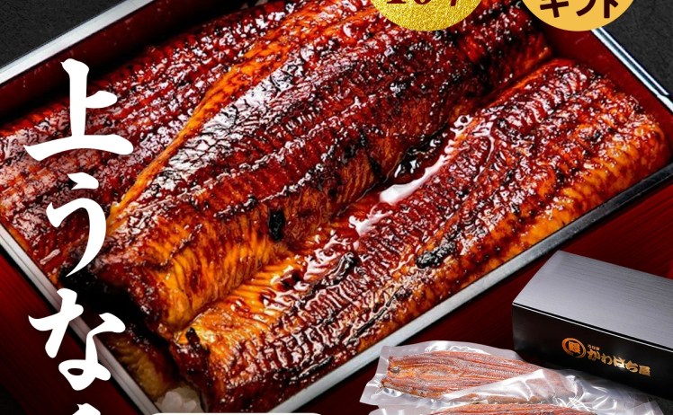 【3,740円】うなぎ蒲焼き 上うな重 3人前 165g×3尾