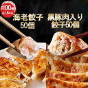 【18%OFF】【27日10時まで】一龍堂 黒豚肉入り餃子50個＋こだわり海老餃子50個 合計100個 送料込3,290円(実質2,690円・26.9円/個)