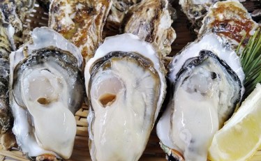 【3,974円】宮城県産 生食用 殻付き 牡蠣 4㎏