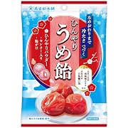 扇雀飴 ひんやりうめ飴 70g×6個