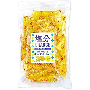 【48%OFF】【1,811円】 坂製菓 塩分チャージゼリーレモン 500g×5袋