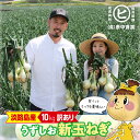 訳あり 淡路島産うずしお新玉ねぎ10kg