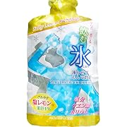 赤城フーズ 飲む氷Salty Lemonアイススラリー 100g×10個