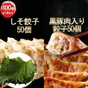 【18%OFF】【本日限定】一龍堂 しそ餃子50個 黒豚肉入り餃子50個 合計100個 送料込2,998円(30.0円/個)