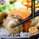 希少な特大サイズ！北海道産ボイルほたて800g