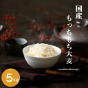 国内産 もっちもち大麦 5kg