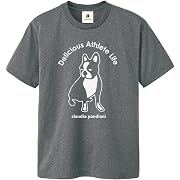 claudio pandiani(クラウディオ・パンディアーニ) Tシャツ Dry TEE ヘザーグレー 2XLサイズ