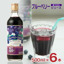 訳あり 野田ハニー ブルーベリー 100％ ジュース 500ml 6本