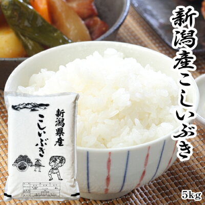 【45%OFF】【本日3倍】【2,980円】 令和7年産 新潟県産 こしいぶき 5kg 【送料無料】