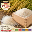 【50%OFF】令和7年産 白米 10kg 品種おまかせ米 兵庫県稲美町周辺のお米など