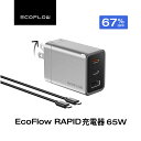 【67%OFF】EcoFlow RAPID 65W GaN充電器 USB-Cケーブル付 送料込2,590円