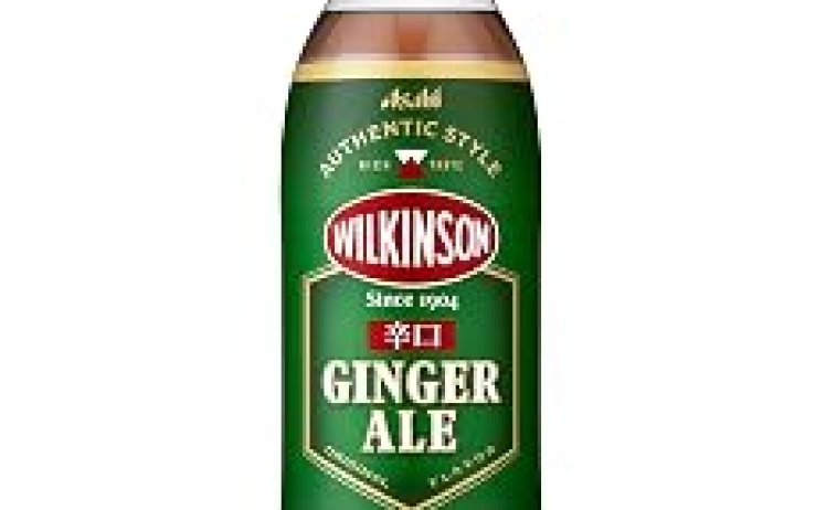【1,961円- 677pt】ウィルキンソン ジンジャーエール 辛口 500ml×24本