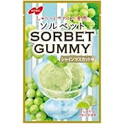 ノーベル SORBET シャインマスカット味 50g×12個