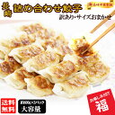 訳あり 詰め合わせ餃子福袋  (約600g×3パック)