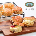 【50%OFF】【20時】ヘイウッド＆パジェット 選べる英国産バタースコーン10個セット 送料込1,490円(149.0円/個)