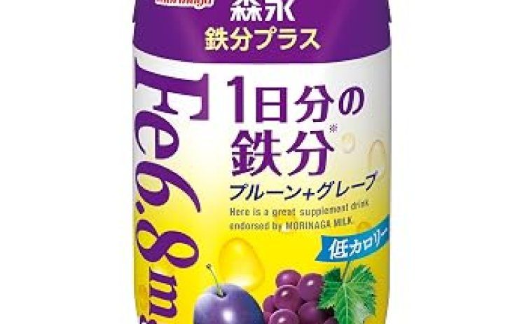 【1,772円～】森永 鉄分プラス 1日分の鉄分 プルーン+グレープ 200ml×24本