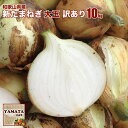 訳あり和歌山県産 新玉葱 大玉(1玉300ｇ以上) 10kg