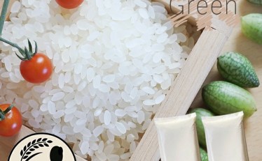 秋田県産 ときわGreen 令和7年産 ブレンド米 5㎏