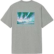 【ポイント42%還元】THE NORTH FACE(ザノースフェイス) カットソー Tシャツ S/S GREAT RACE Tee ミックスグレー Lサイズ