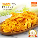 訳あり ドライマンゴー 400g(100g x 4袋)